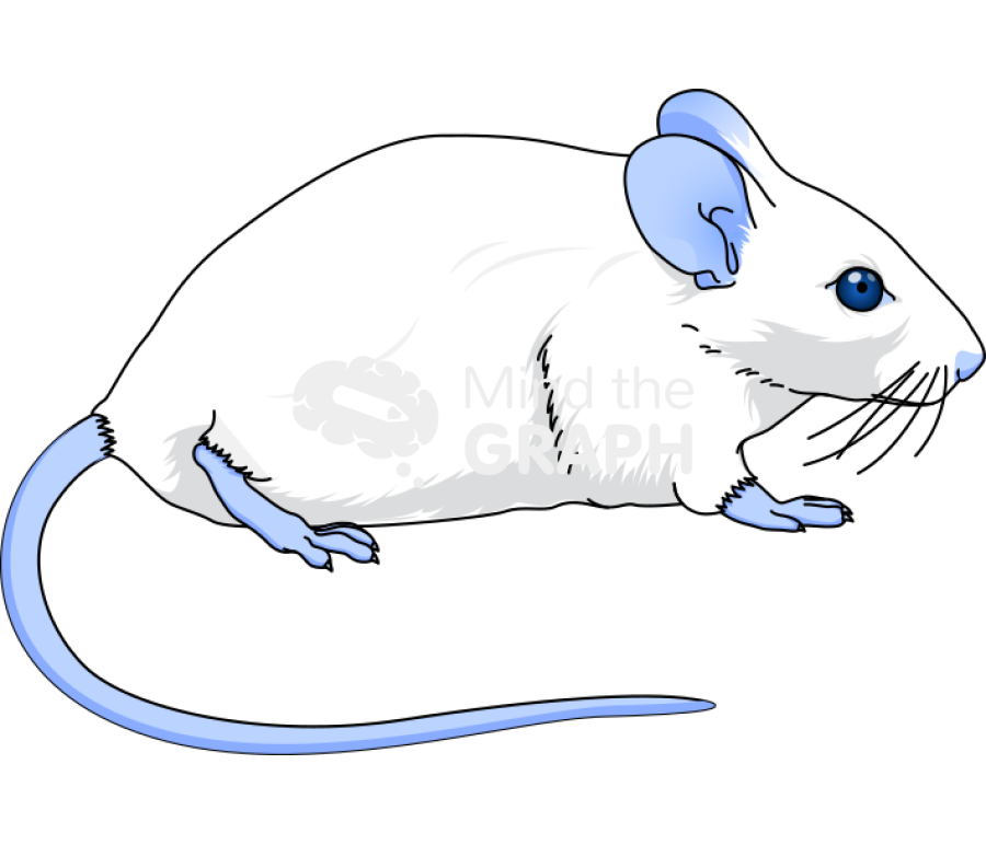 Swiss mouse evans blue Icons, Symbols, Pictures, and Images