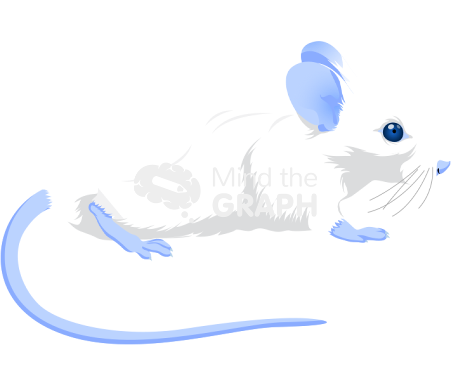 Swiss mouse evans blue Icons, Symbols, Pictures, and Images