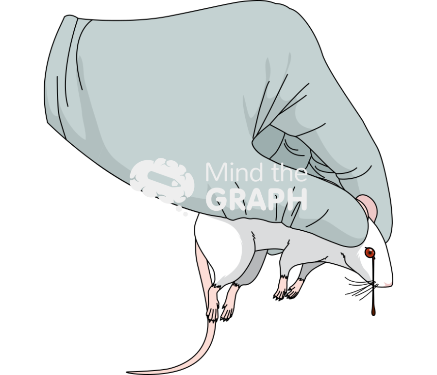 Swiss retro orbital bleed 3