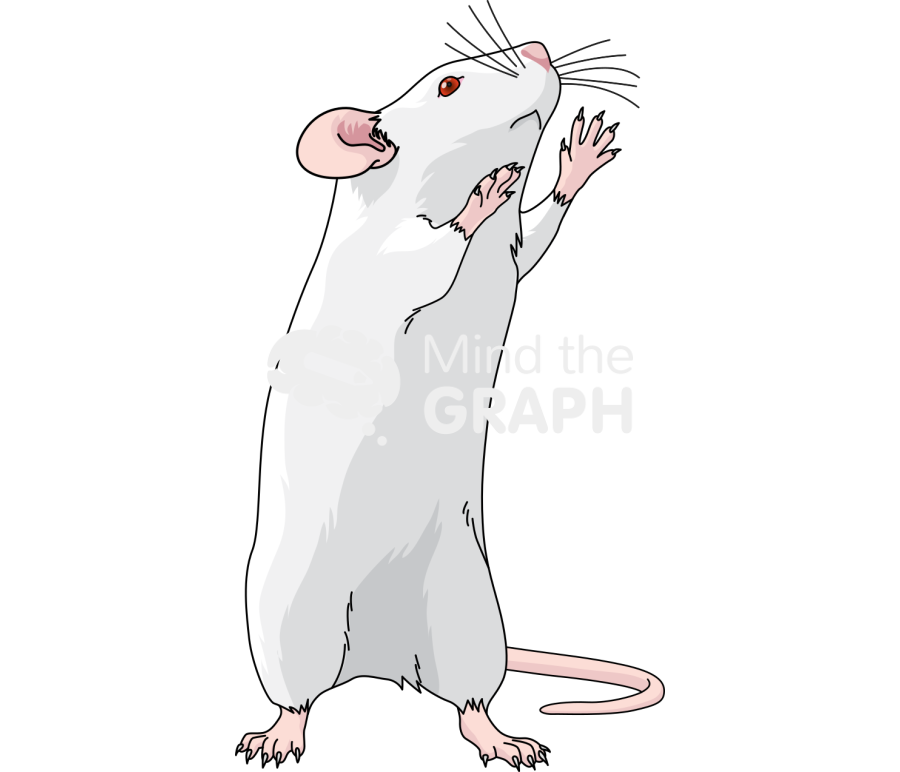 Swiss trying reach Icons, Symbols, Pictures, and Images