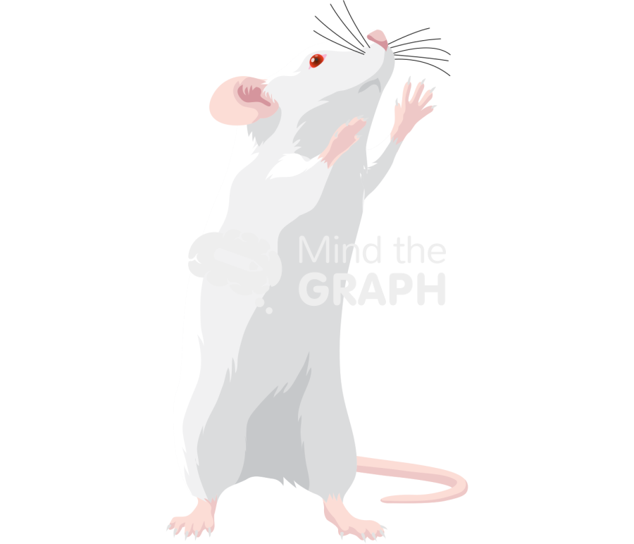 Swiss trying reach Icons, Symbols, Pictures, and Images