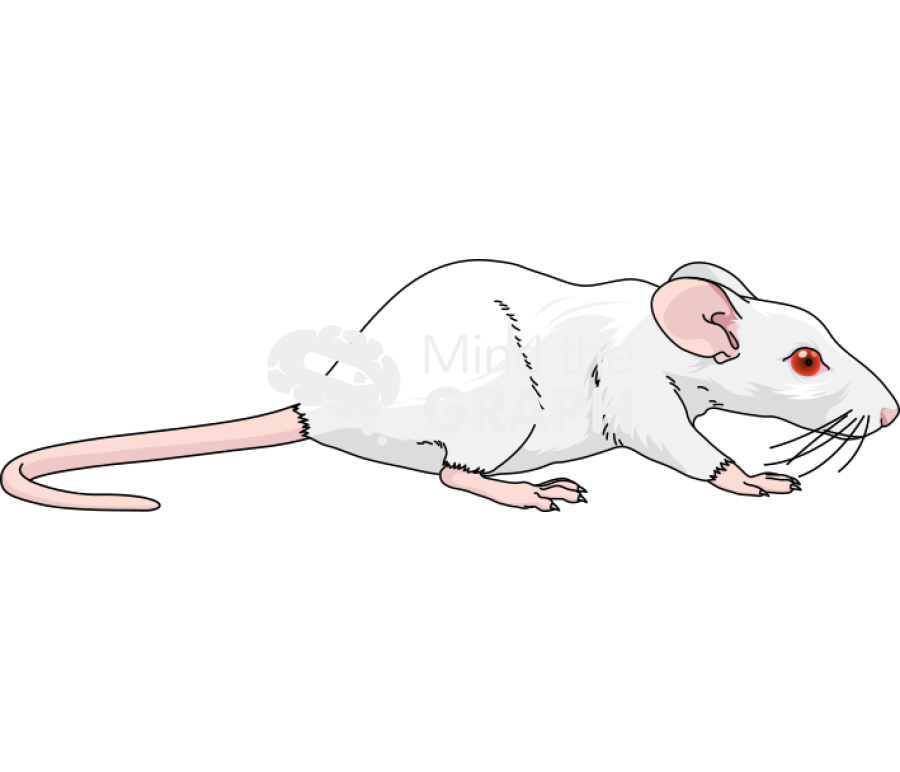 Swiss underweight mice Icons, Symbols, Pictures, and Images