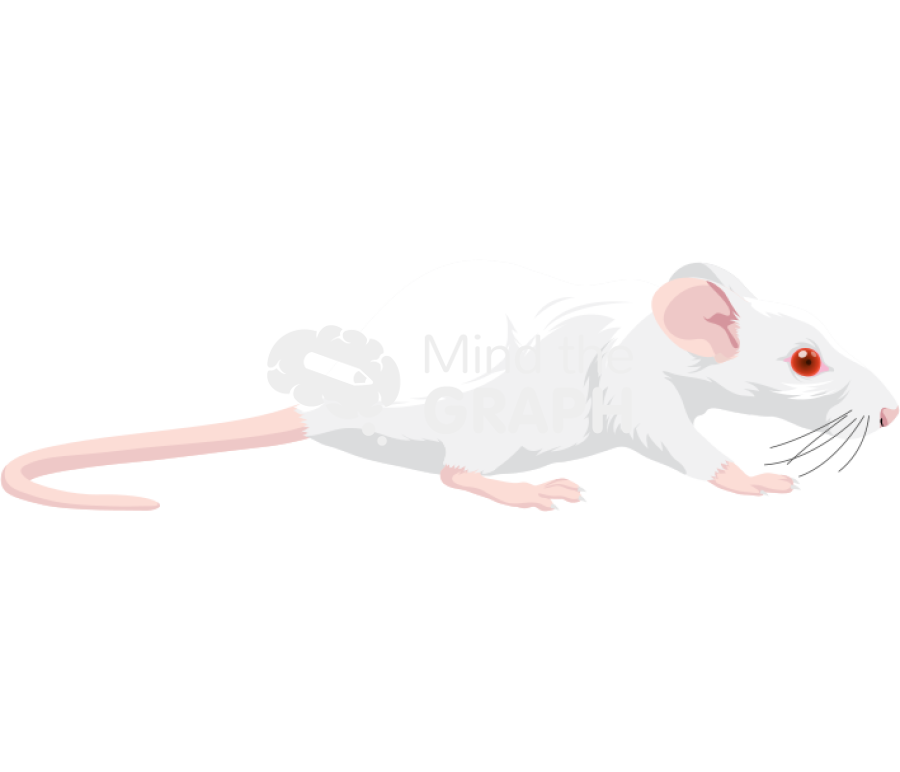 Swiss underweight mice Icons, Symbols, Pictures, and Images