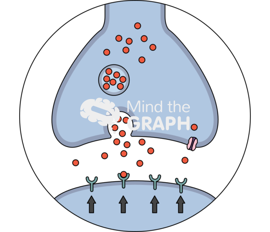 Synapse high density dopamine receptor Icons, Symbols, Pictures, and Images