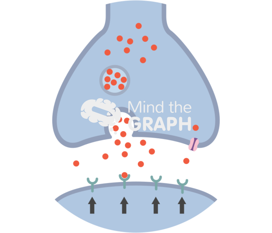 Synapse high density dopamine receptor Icons, Symbols, Pictures, and Images