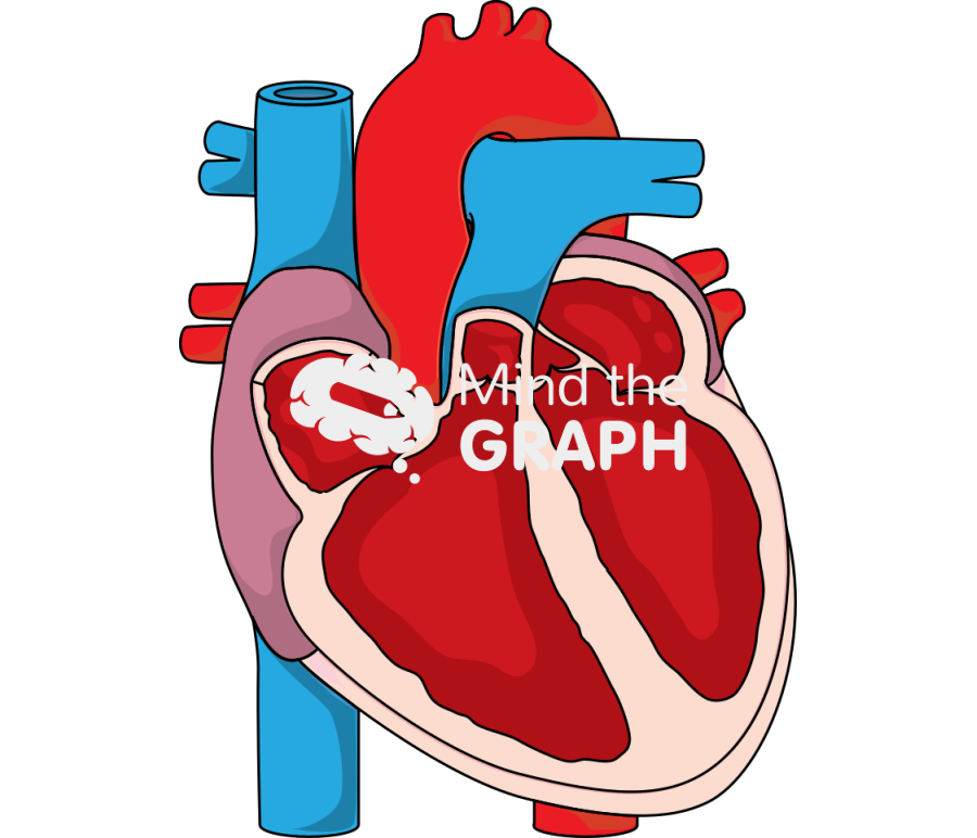 Systolic heart failure Icons, Symbols, Pictures, and Images
