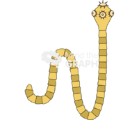 Taenia saginata - Edit and Customize Icons of Taenia saginata Taenia saginata Icons, Symbols, Pictures, and Images