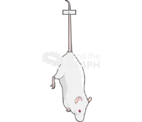 Tail suspension - Edit and Customize Icons of Tail suspension Tail suspension Icons, Symbols, Pictures, and Images