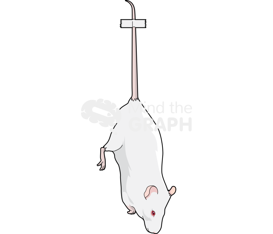 Tail suspension Icons, Symbols, Pictures, and Images