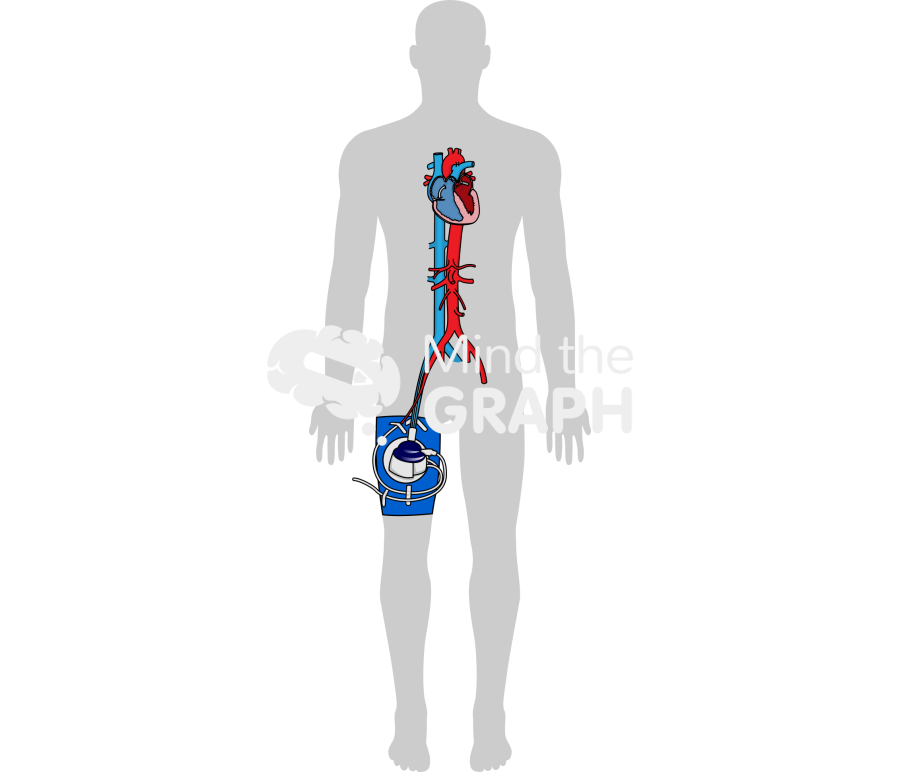 Tandem heart body shape Icons, Symbols, Pictures, and Images