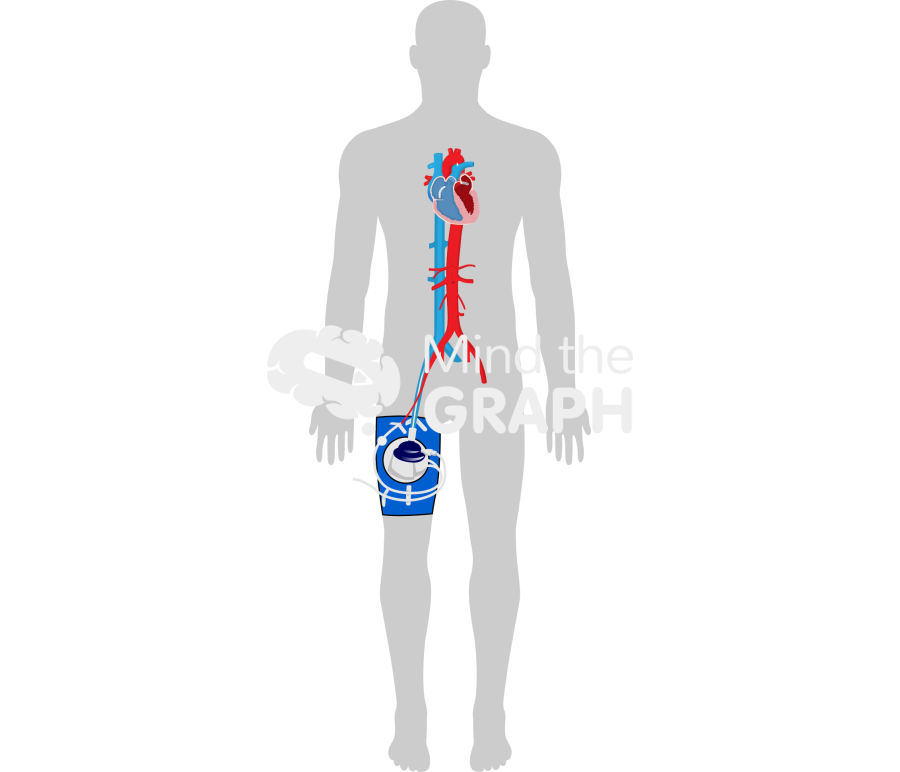 Tandem heart body shape Icons, Symbols, Pictures, and Images