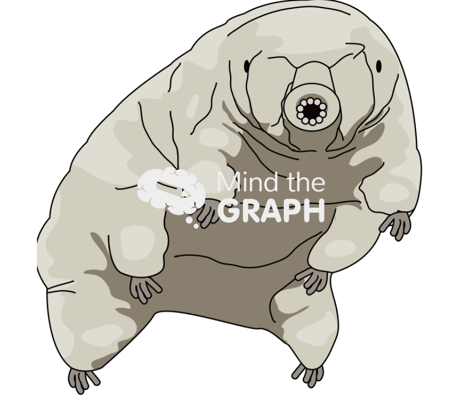 Tardigrade front Icons, Symbols, Pictures, and Images