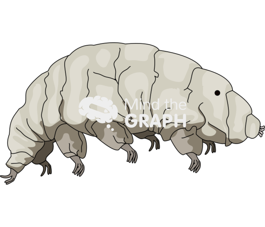 Tardigrade side Icons, Symbols, Pictures, and Images