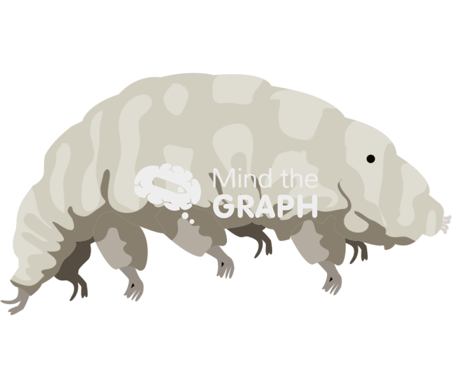 Tardigrade side Icons, Symbols, Pictures, and Images