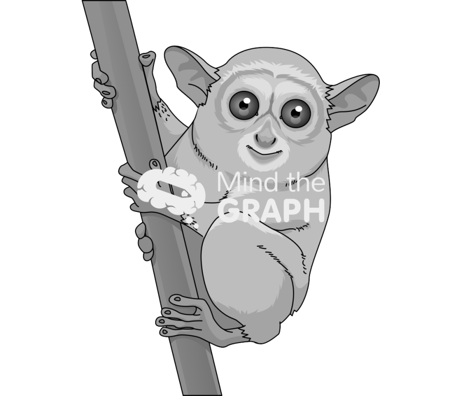 Tarsius Icons, Symbols, Pictures, and Images