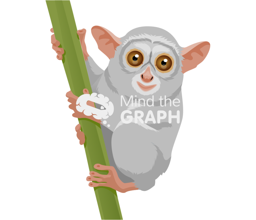 Tarsius Icons, Symbols, Pictures, and Images