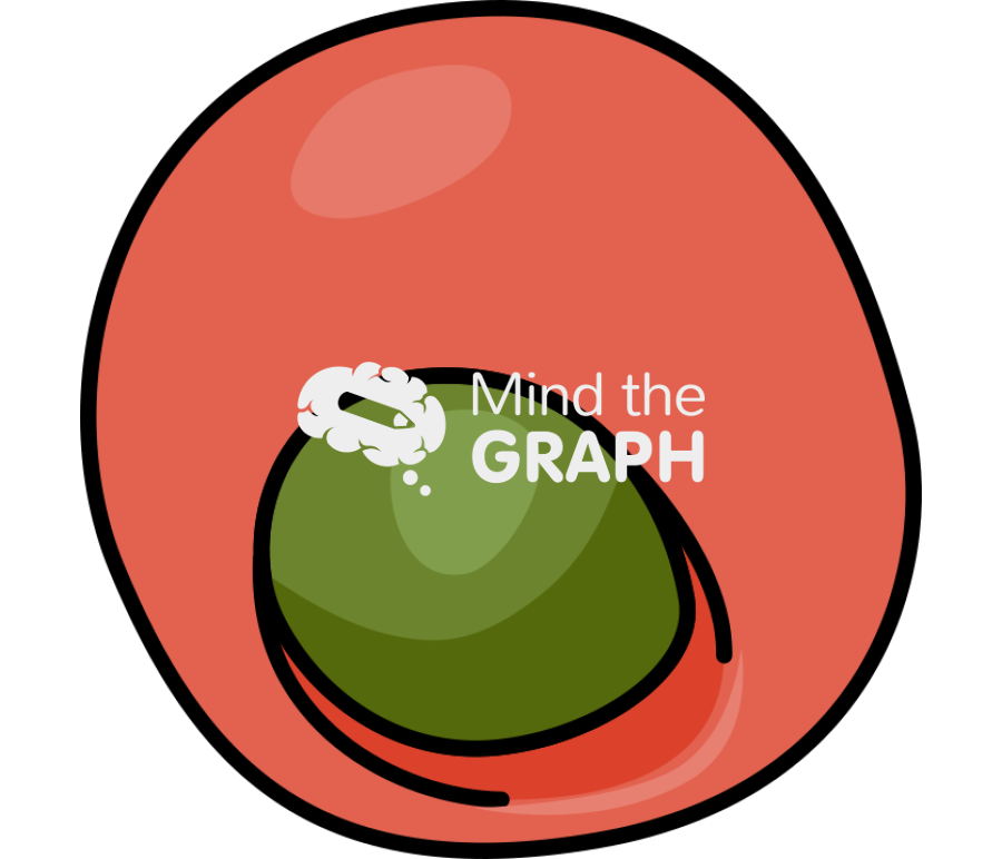 Taxus baccata mature cone Icons, Symbols, Pictures, and Images