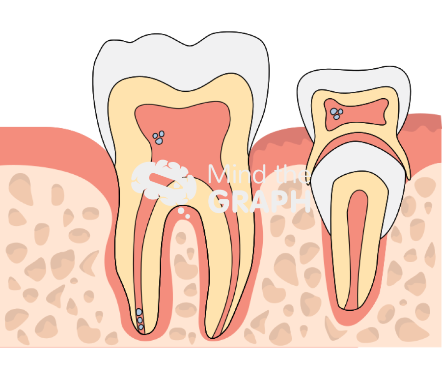 Teeth cut gum stem cells Icons, Symbols, Pictures, and Images