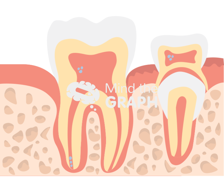 Teeth cut gum stem cells Icons, Symbols, Pictures, and Images