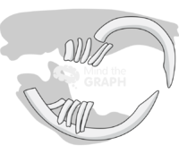 Teeth rodent geomys shape - Edit and Customize Icons of Teeth rodent geomys shape Teeth rodent geomys shape Icons, Symbols, Pictures, and Images