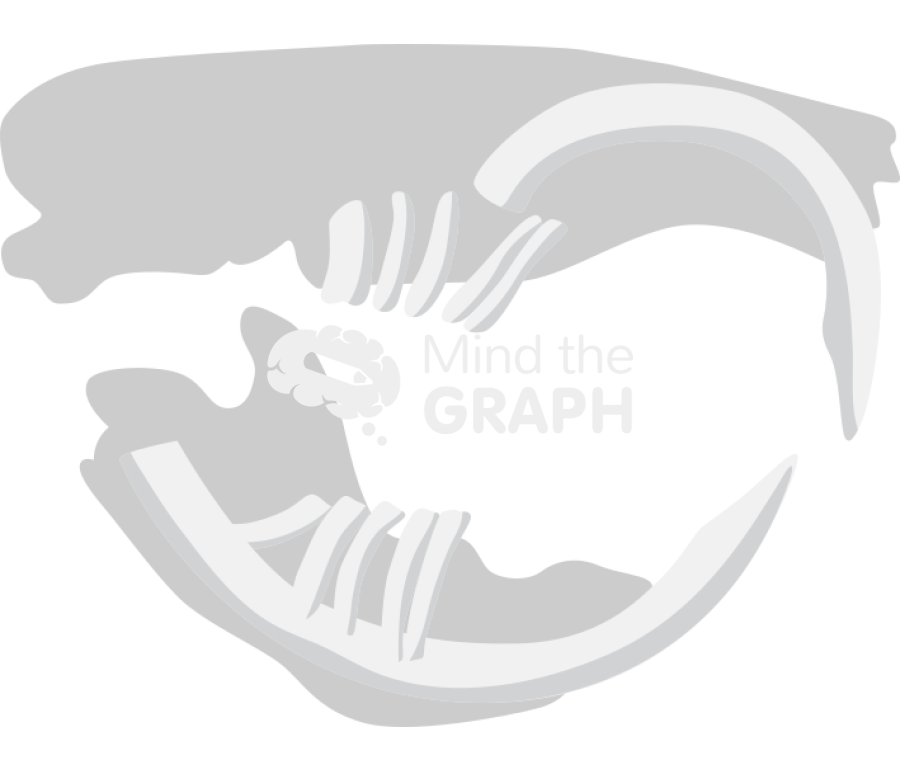 Teeth rodent geomys shape Icons, Symbols, Pictures, and Images