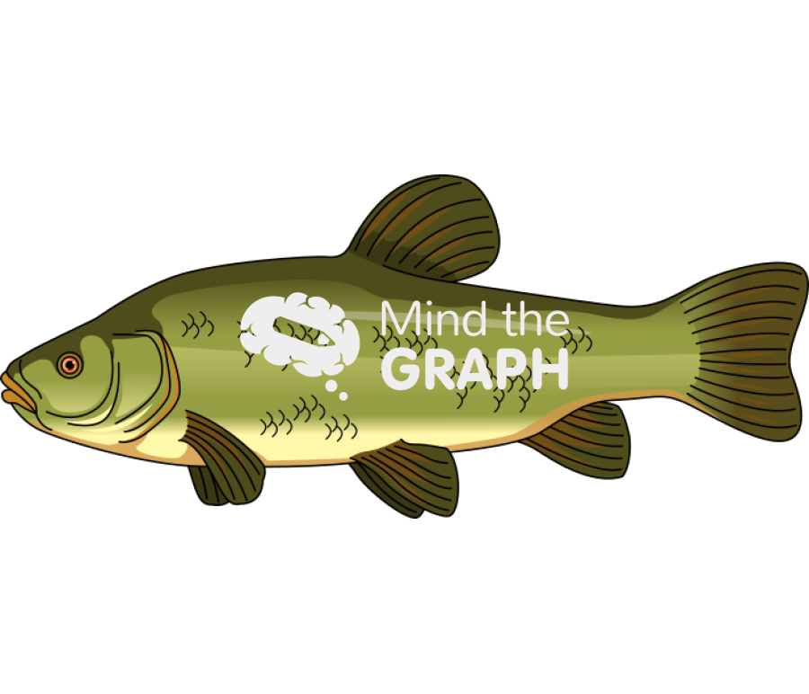 Tench tinca tinca lateral Icons, Symbols, Pictures, and Images