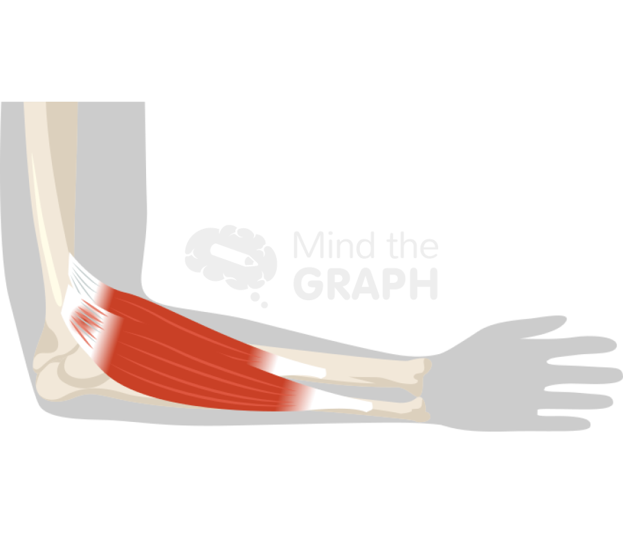 Tendonitis arm body Icons, Symbols, Pictures, and Images