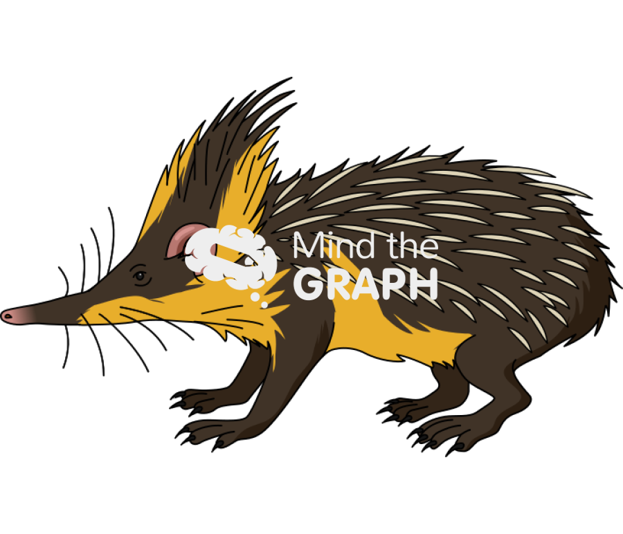 Tenrec afrosoricida Icons, Symbols, Pictures, and Images
