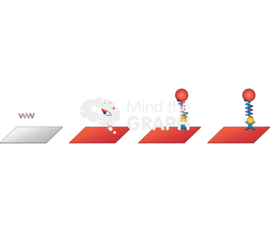 Test strip 1 Icons, Symbols, Pictures, and Images