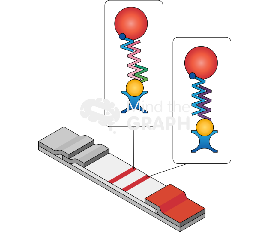 Test strip 2 Icons, Symbols, Pictures, and Images