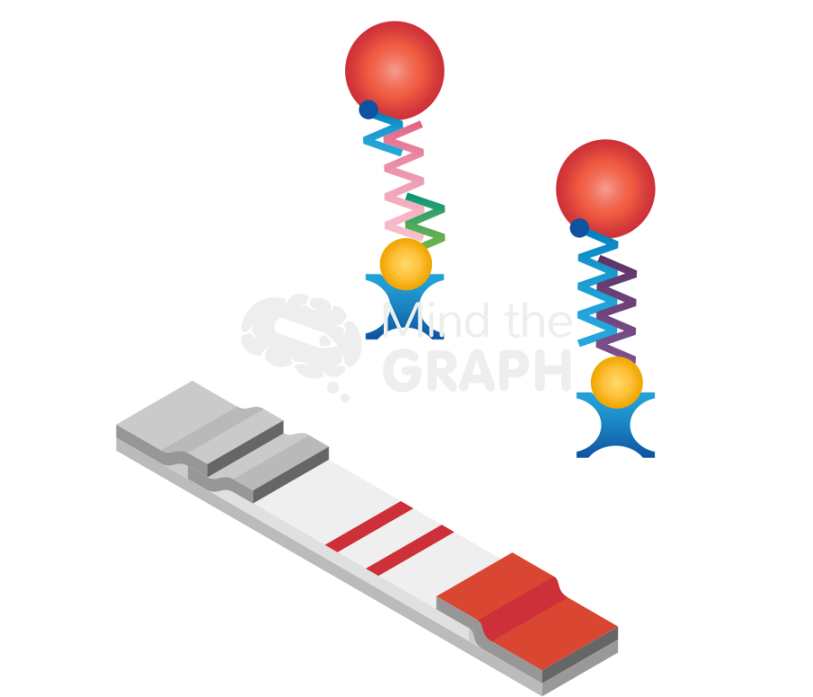 Test strip 2 Icons, Symbols, Pictures, and Images