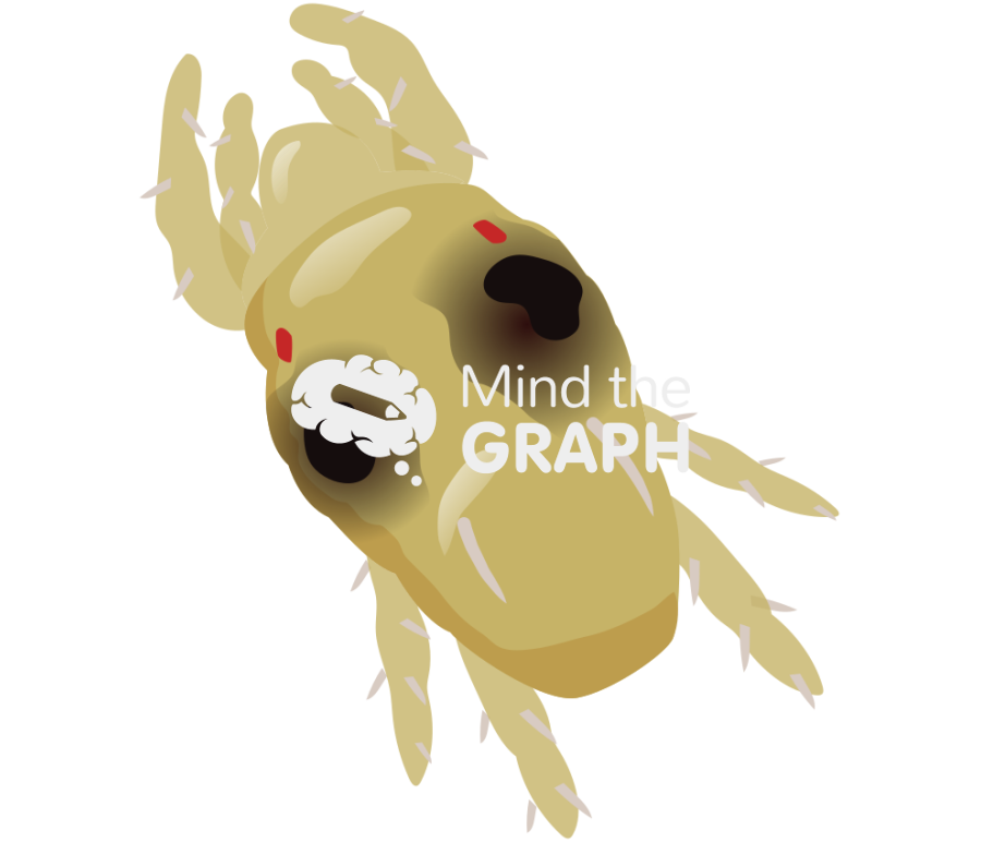 Tetranychus urticae chrystalis stage top Icons, Symbols, Pictures, and Images