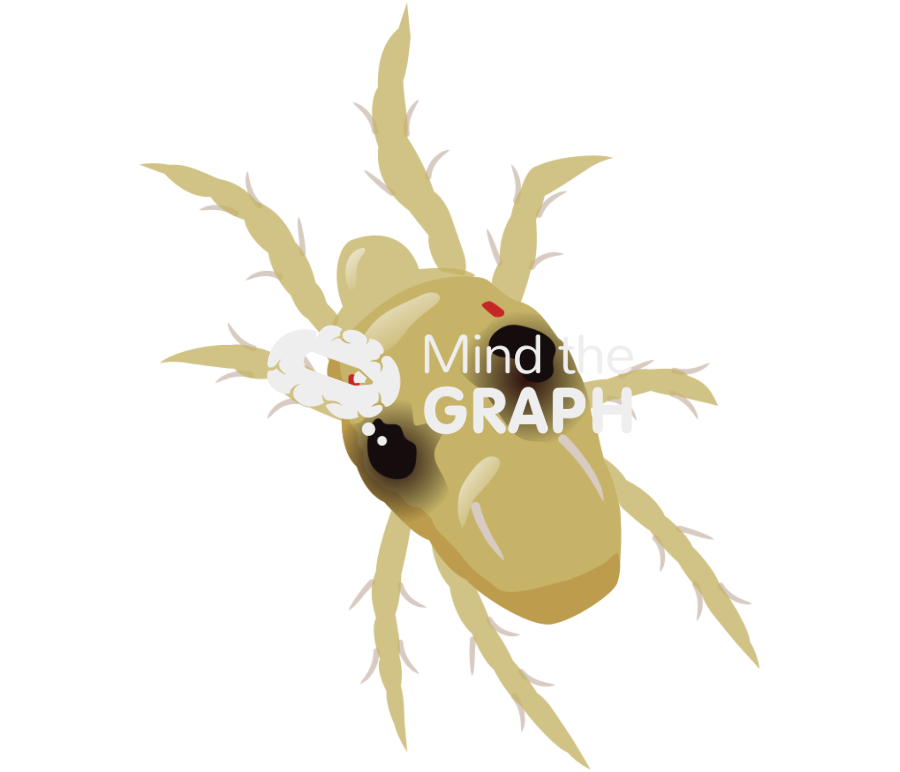 Tetranychus urticae top Icons, Symbols, Pictures, and Images