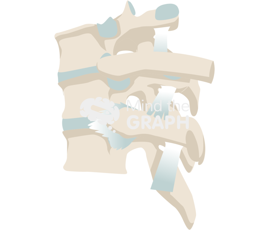 Thoracic paravertebral space Icons, Symbols, Pictures, and Images