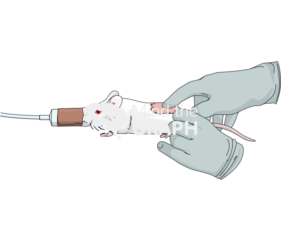 Thoracolumbar fascia manipulation mouse 1 Icons, Symbols, Pictures, and Images