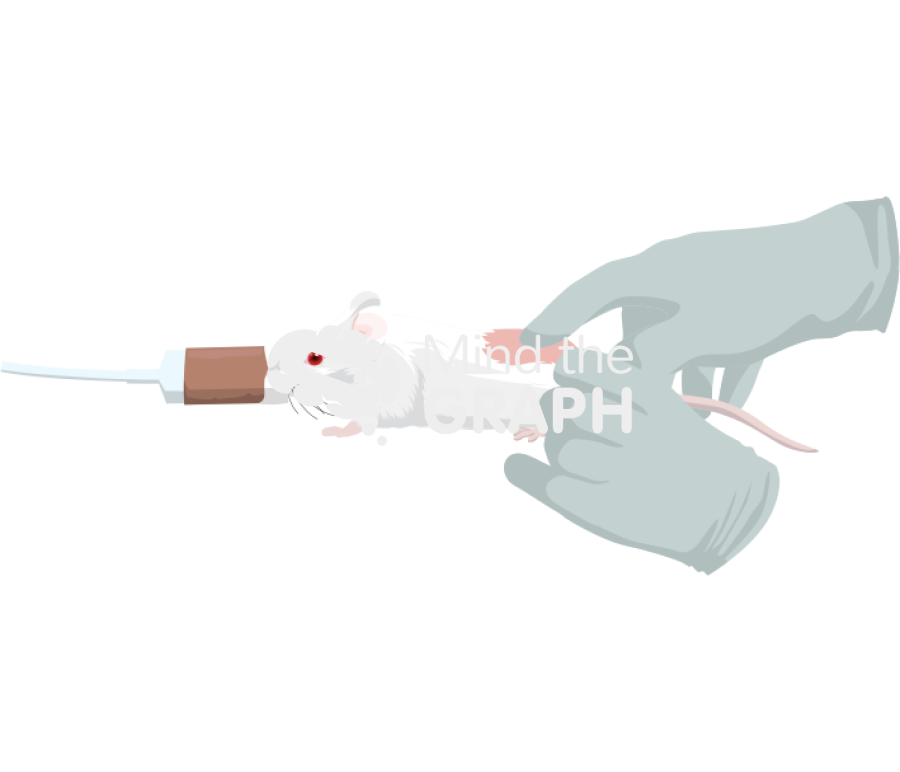 Thoracolumbar fascia manipulation mouse 1 Icons, Symbols, Pictures, and Images