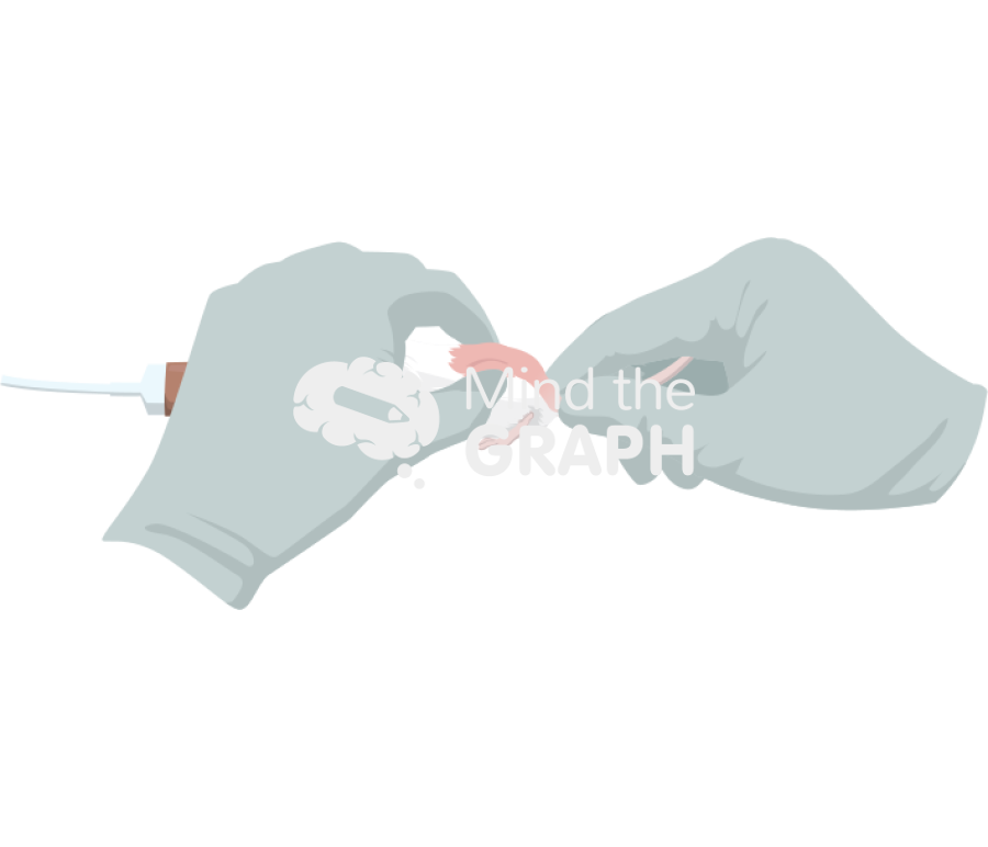 Thoracolumbar fascia manipulation mouse 2 Icons, Symbols, Pictures, and Images