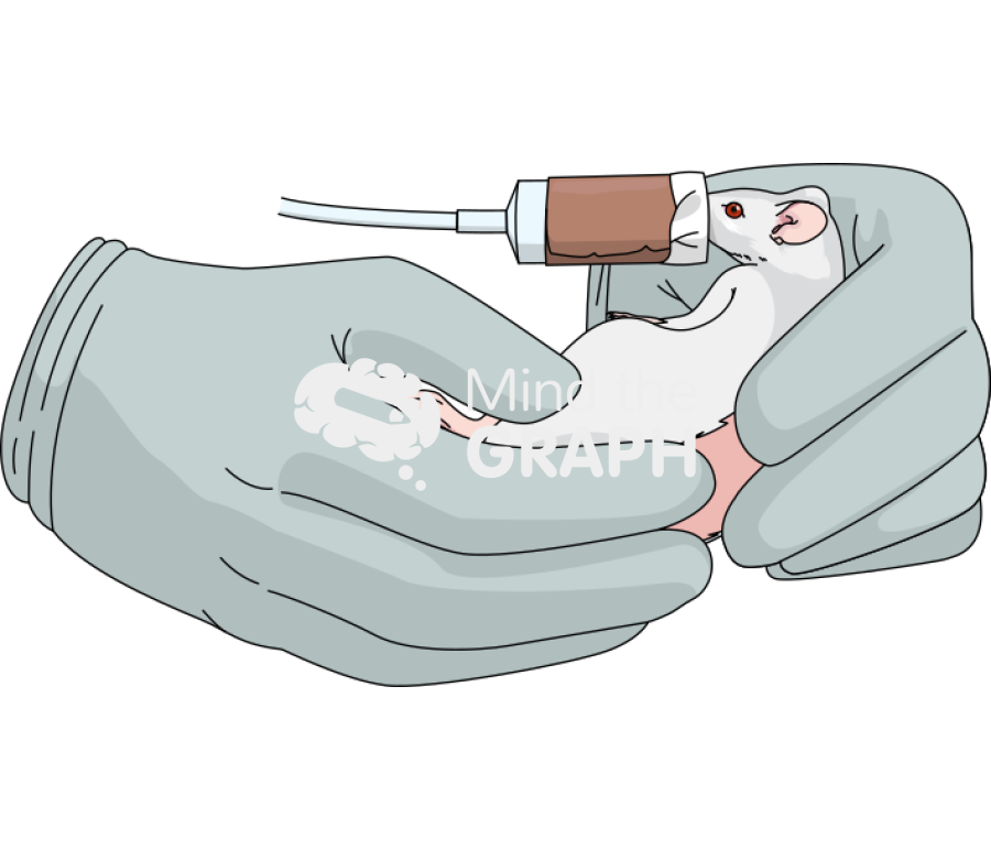 Thoracolumbar fascia manipulation mouse 3 Icons, Symbols, Pictures, and Images