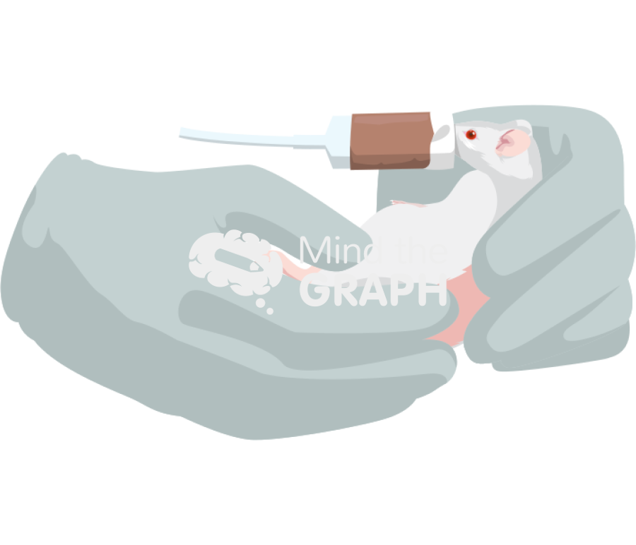 Thoracolumbar fascia manipulation mouse 3 Icons, Symbols, Pictures, and Images