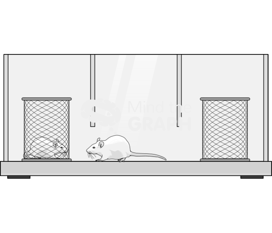 Three chamber sociability rat Icons, Symbols, Pictures, and Images