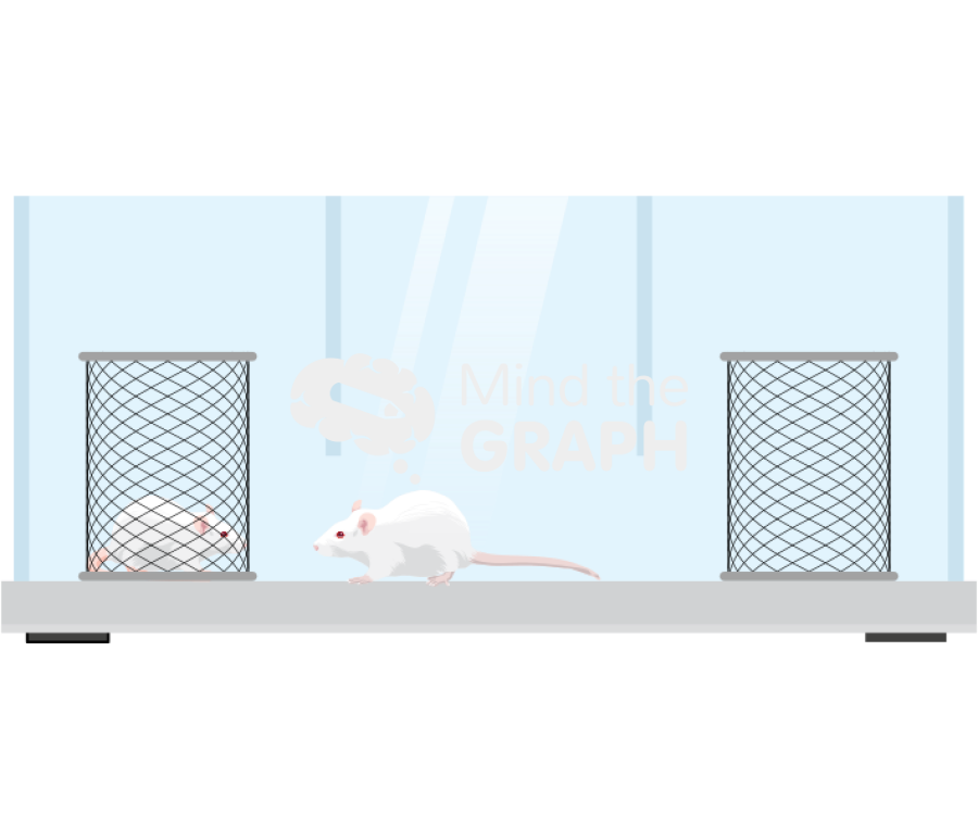 Three chamber sociability rat Icons, Symbols, Pictures, and Images