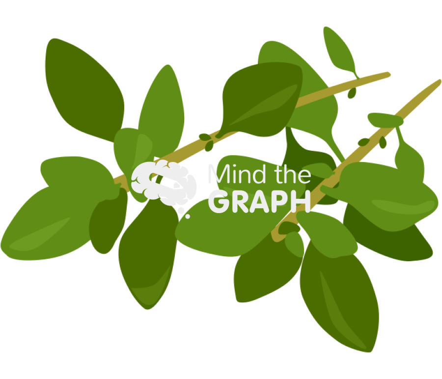 Thyme 2 Icons, Symbols, Pictures, and Images