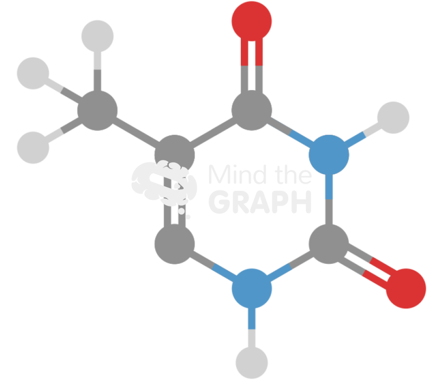Thymine molecule Icons, Symbols, Pictures, and Images