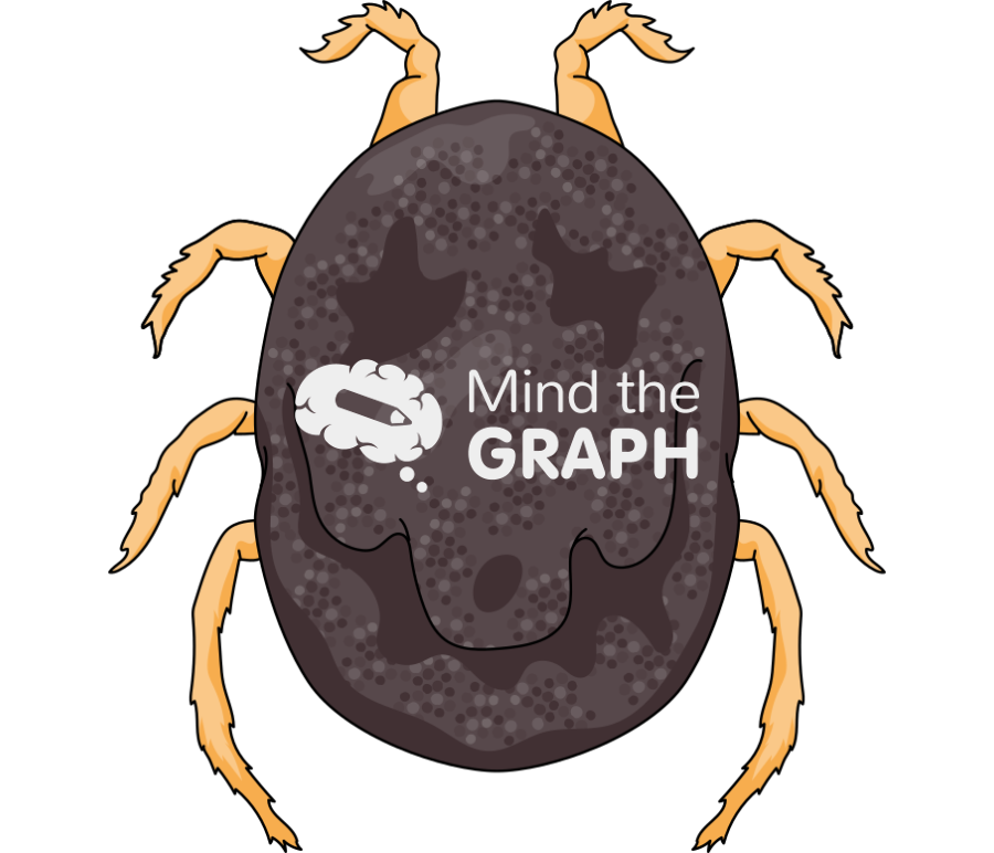 Tick ornithodoros dorsal Icons, Symbols, Pictures, and Images