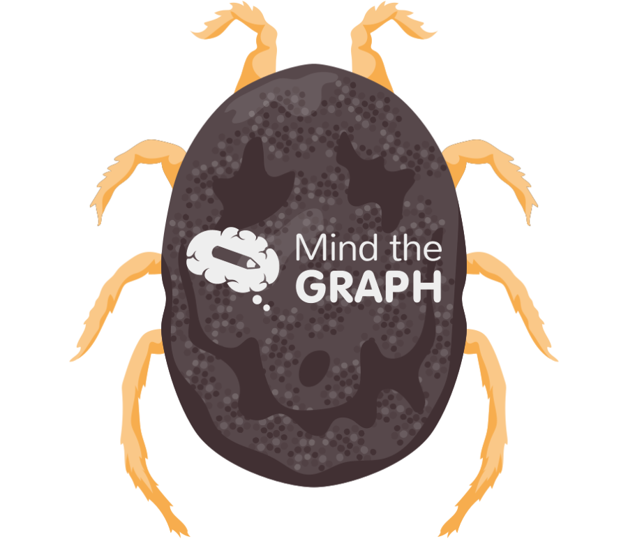 Tick ornithodoros dorsal Icons, Symbols, Pictures, and Images