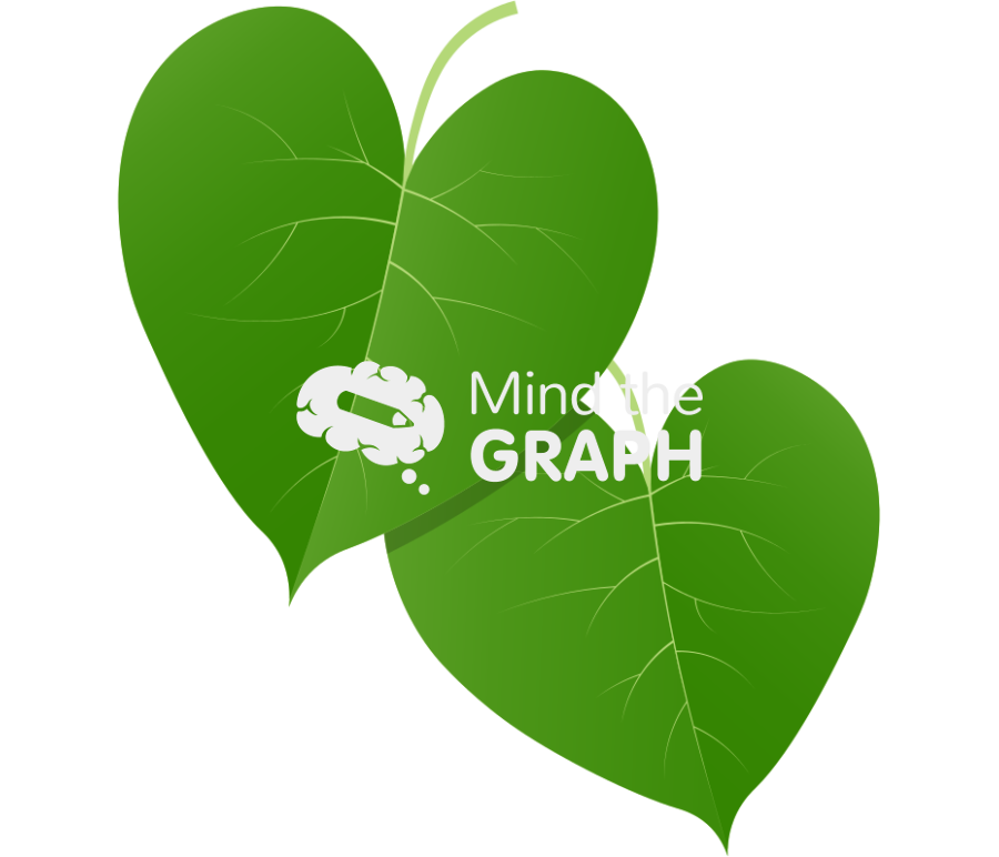 Tinospora cordifolia leaves Icons, Symbols, Pictures, and Images