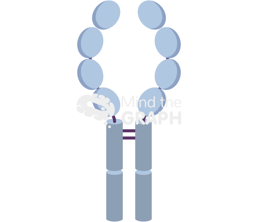 Tnfr tumor necrosis factor receptor Icons, Symbols, Pictures, and Images