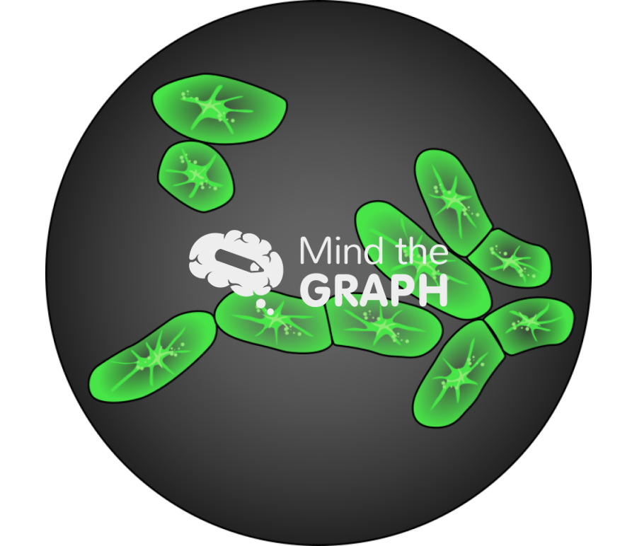 Tobacco by 2 cell culture zoom Icons, Symbols, Pictures, and Images