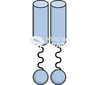 Toll like receptor perspective - Edit and Customize Icons of Toll like receptor perspective Toll like receptor perspective Icons, Symbols, Pictures, and Images