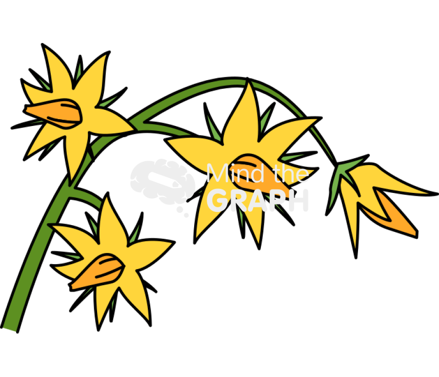 Tomato flowers Icons, Symbols, Pictures, and Images